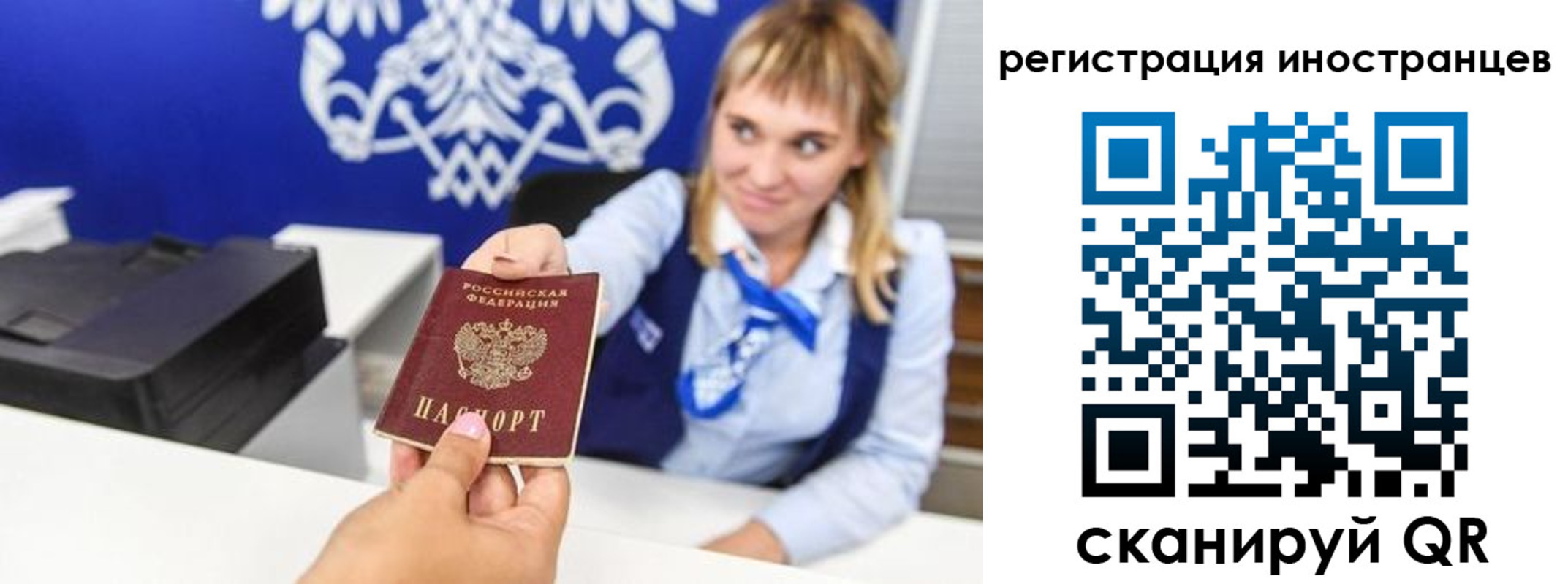 временная регистрация поиск в Палласовке